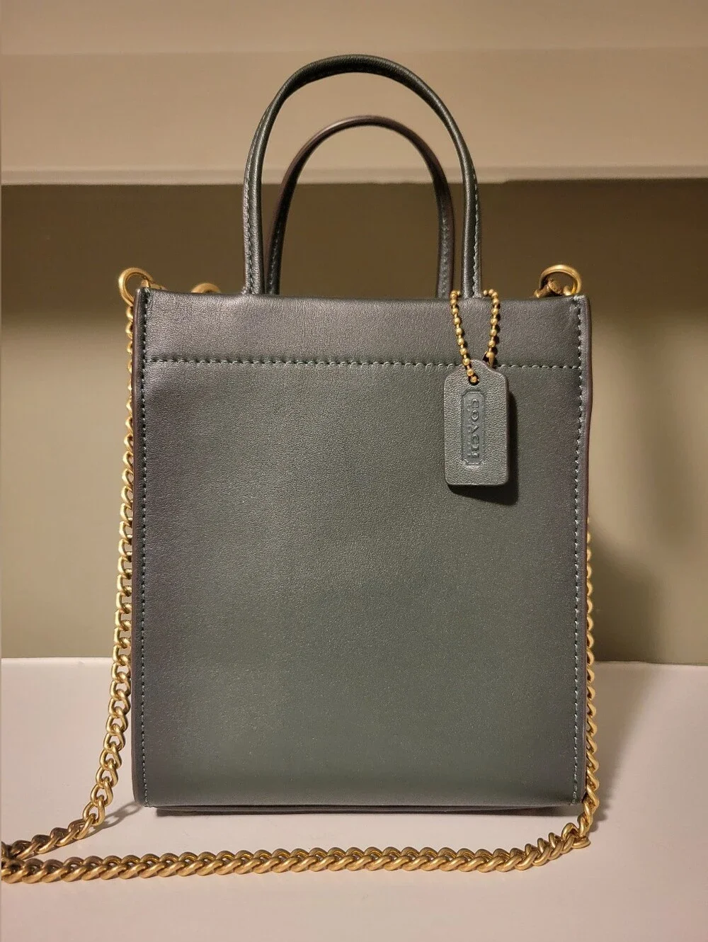 Coach Mini Cashin Tote C4828 Amazon Green NWT